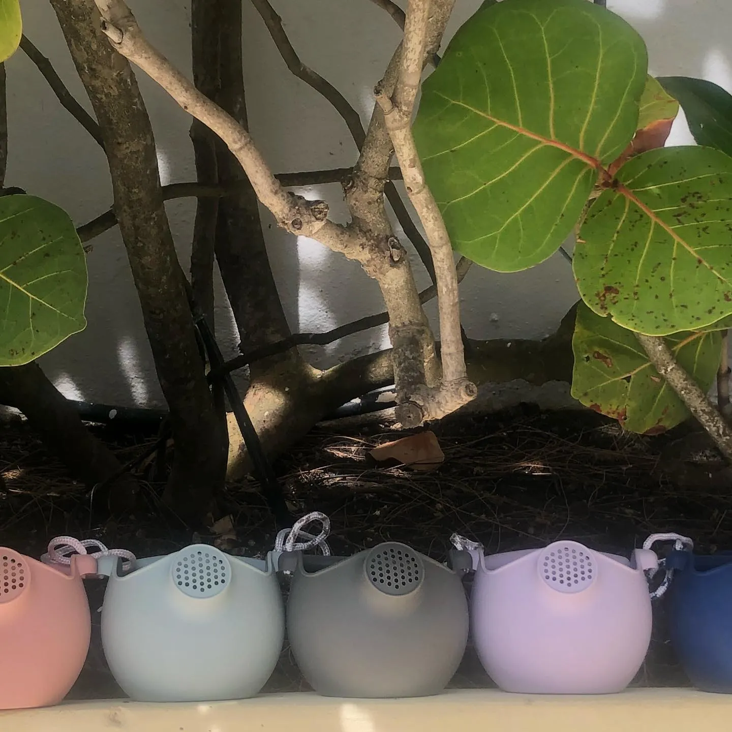 92017595_1966241076842926_810345