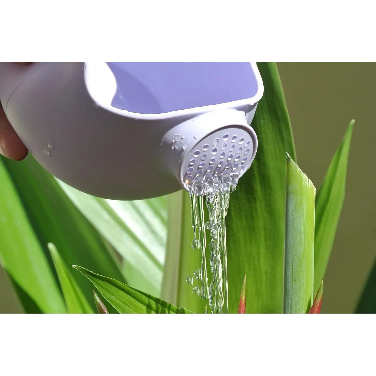 95959257_2002300249903675_370333