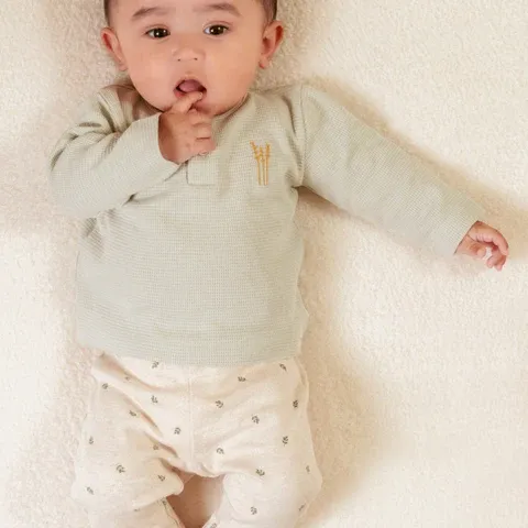 image_2024_10_23_245