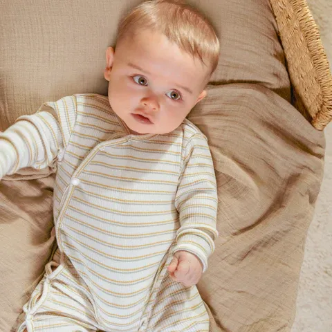 image_2024_10_23_261