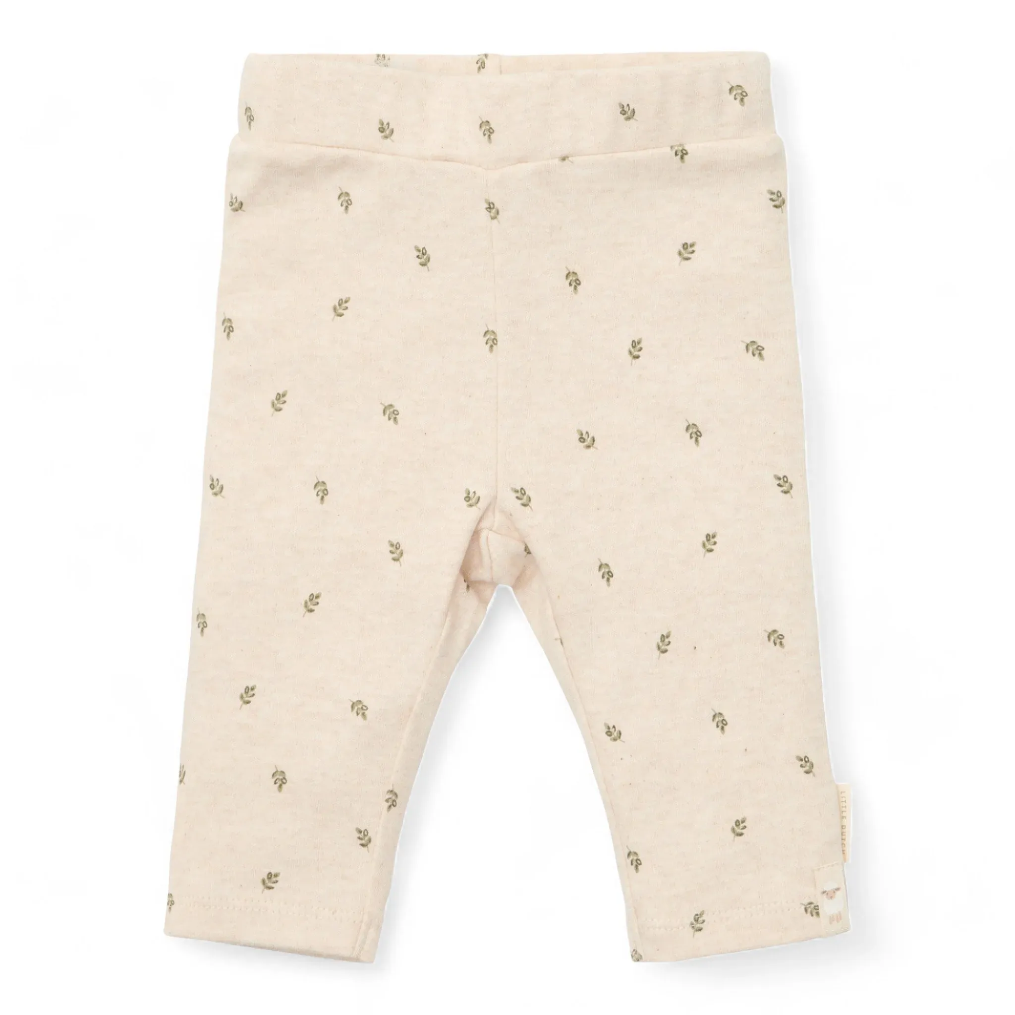 image_2024_10_23_518