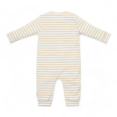 image_2024_10_23_771