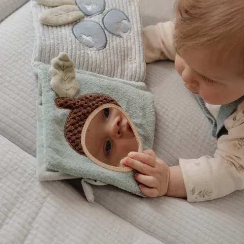 image_2024_11_26_179