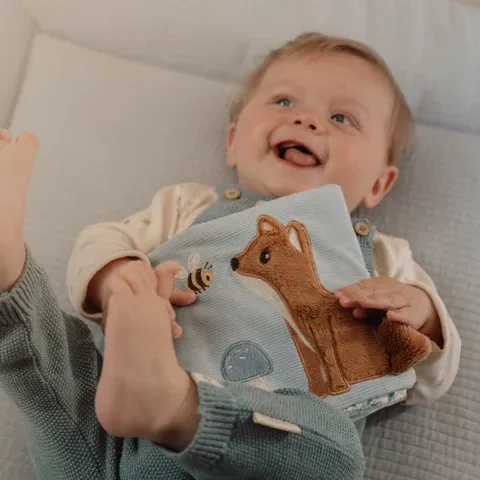 image_2024_11_26_403