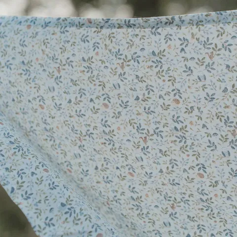 image_2024_11_27_208