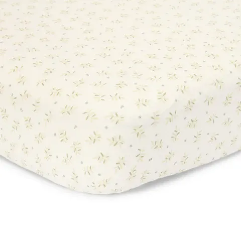 image_2024_11_27_506