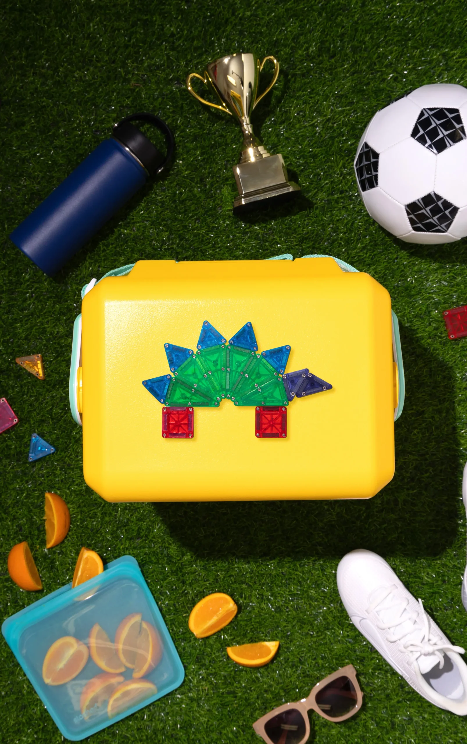 Magna-Tiles - MicroMAGS_IMG_0143_2024-06-18_19.51.06