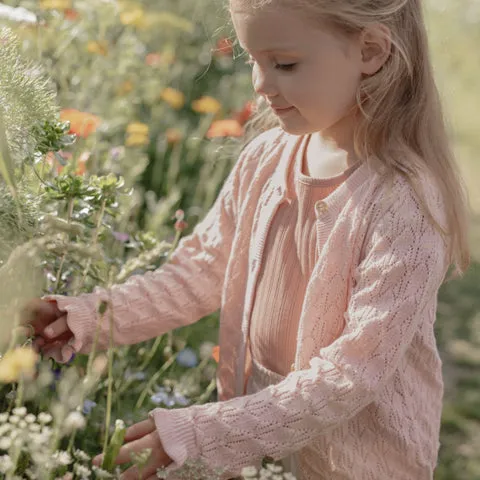 LD-CL250220-03_03_37fbc983-cff7